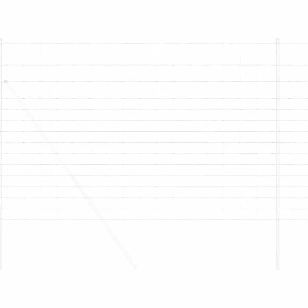 Wilde Hek Warm Verzinkt 1000 x 160 x 0,18 cm IJzer>vidaXL Discount