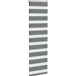 Zebra rolgordijn 40x100 cm stofbreedte 35,9 cm><noscript><img width=