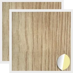 Bouwbeslag*vidaXL Zelfklevende Schroefhoes 2 pcs Artisan Eiken Ø 20 x 0,5 mm artisanaal eikenkleurig