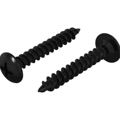 Bouwbeslag*vidaXL Zelftappende Nagel 2 pcs Zwart 4 x 25 mm Staal