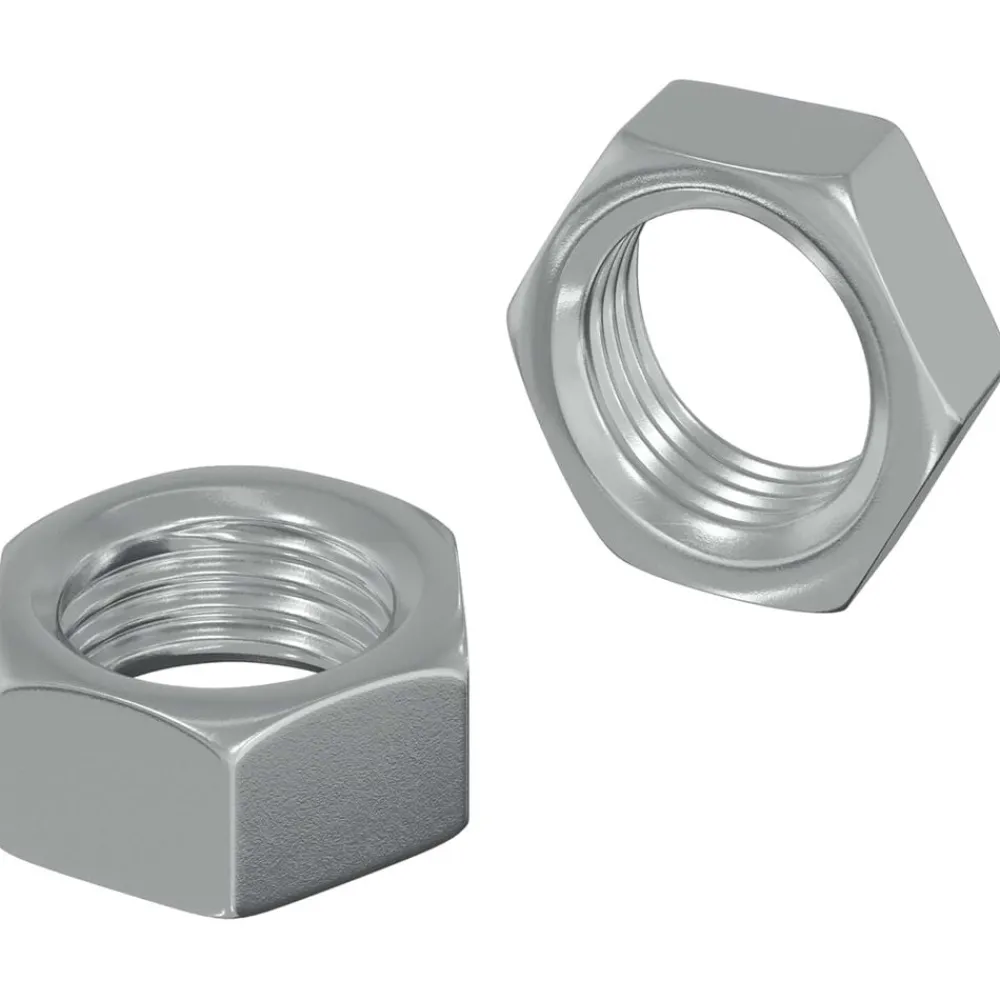 Bouwbeslag*vidaXL Zeshoekige Moer 2 pcs Zilver M6 Metaal