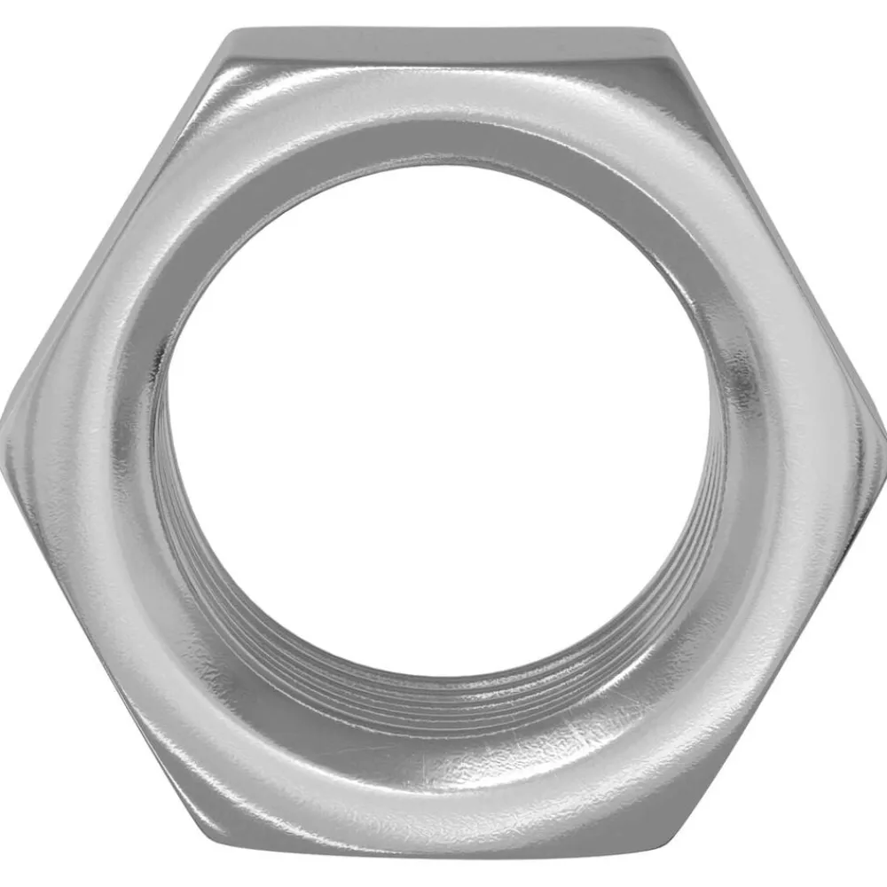 Bouwbeslag*vidaXL Zeshoekige Moer 2 pcs Zilver M6 Metaal