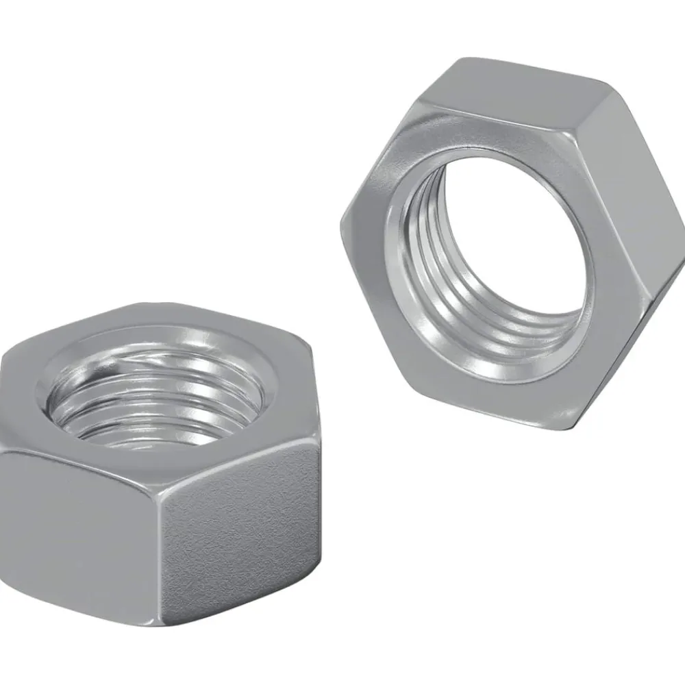 Zeshoekige Moer 2 pcs Zilver M6 Metaal>vidaXL Outlet