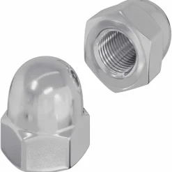 Bouwbeslag*vidaXL Zeskantige eikelnuts 2 pcs Zilver m8 Metaal