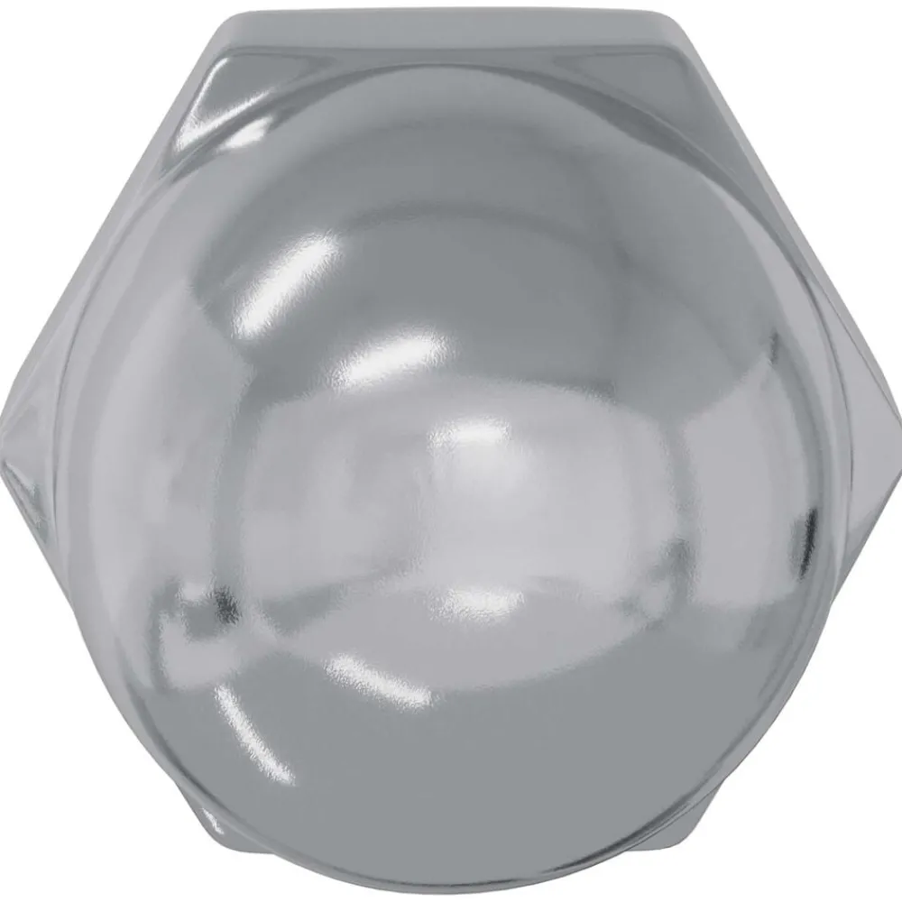 Bouwbeslag*vidaXL Zeskantige eikelnuts 2 pcs Zilver m8 Metaal